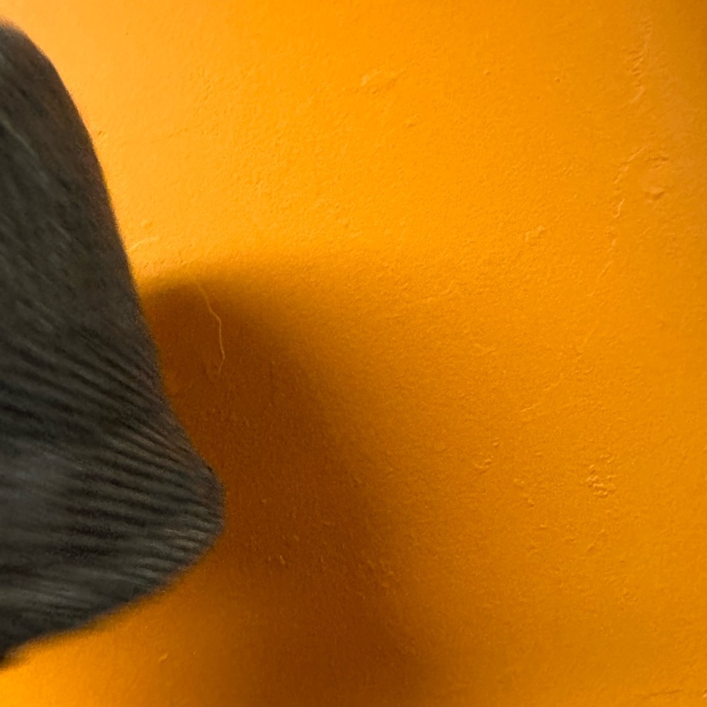totes Charcoal Woven Men's Hat - Picture 7 of 9